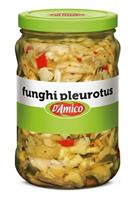 FUNGHI PLEUROTUS KG.1,55D'AMICO (CT=2PZ)