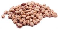 FAGIOLI BORLOTTI SECCHI  BU KG.5 AMIO