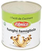 FUNGHI CHIODINI FAMIGLIA AL NATURALE KG.2,5 D'AMICO (CT=6PZ)